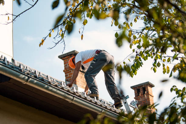 Best Roof Ventilation Installation  in Trevose, PA